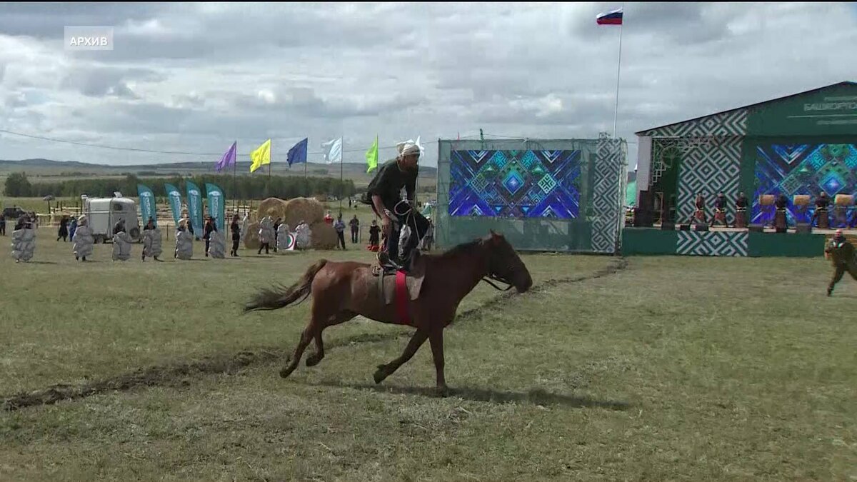 В предстоящие выходные в Баймакском районе пройдет международный фестиваль  “Башкирская лошадь” | Башкортостан 24 | Дзен