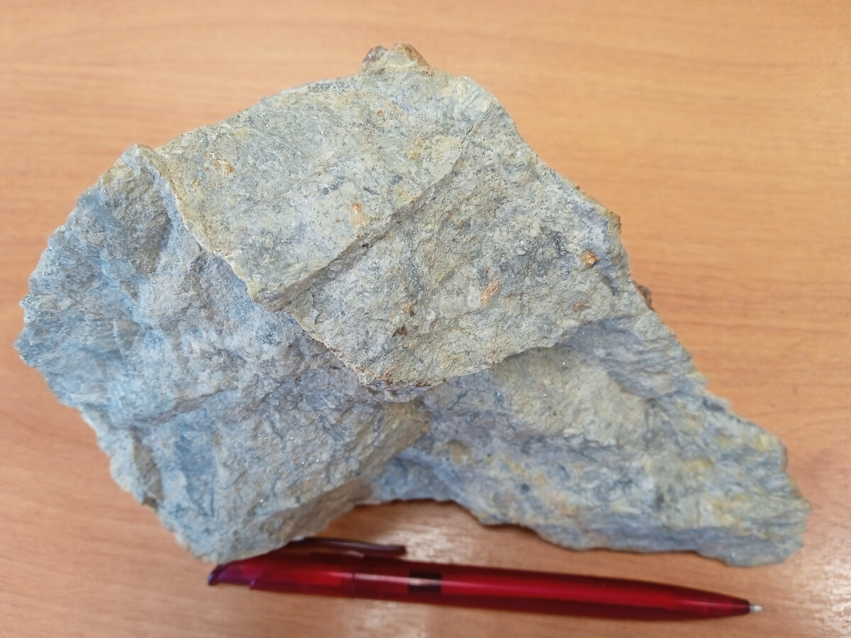 Вот такой экземпляр. Ручка - для понимания его размеров.