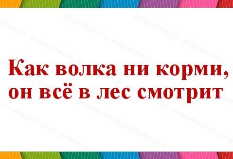 Картинка из открытых источников.