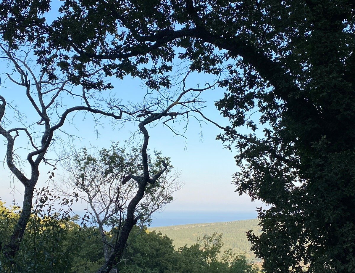 Кусочек Чёрного моря