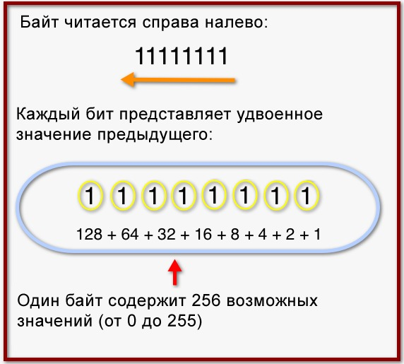 Восьмибитная двоичная запись числа 256