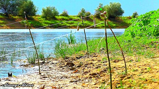 РЫБАЛКА НА ЗАКИДУШКИ. НА МОТОЦИКЛЕ ЗА САЗАНОМ и КАРАСЁМ. Судак. Рыбалка на мотоцикле Suzuki dr-z 400