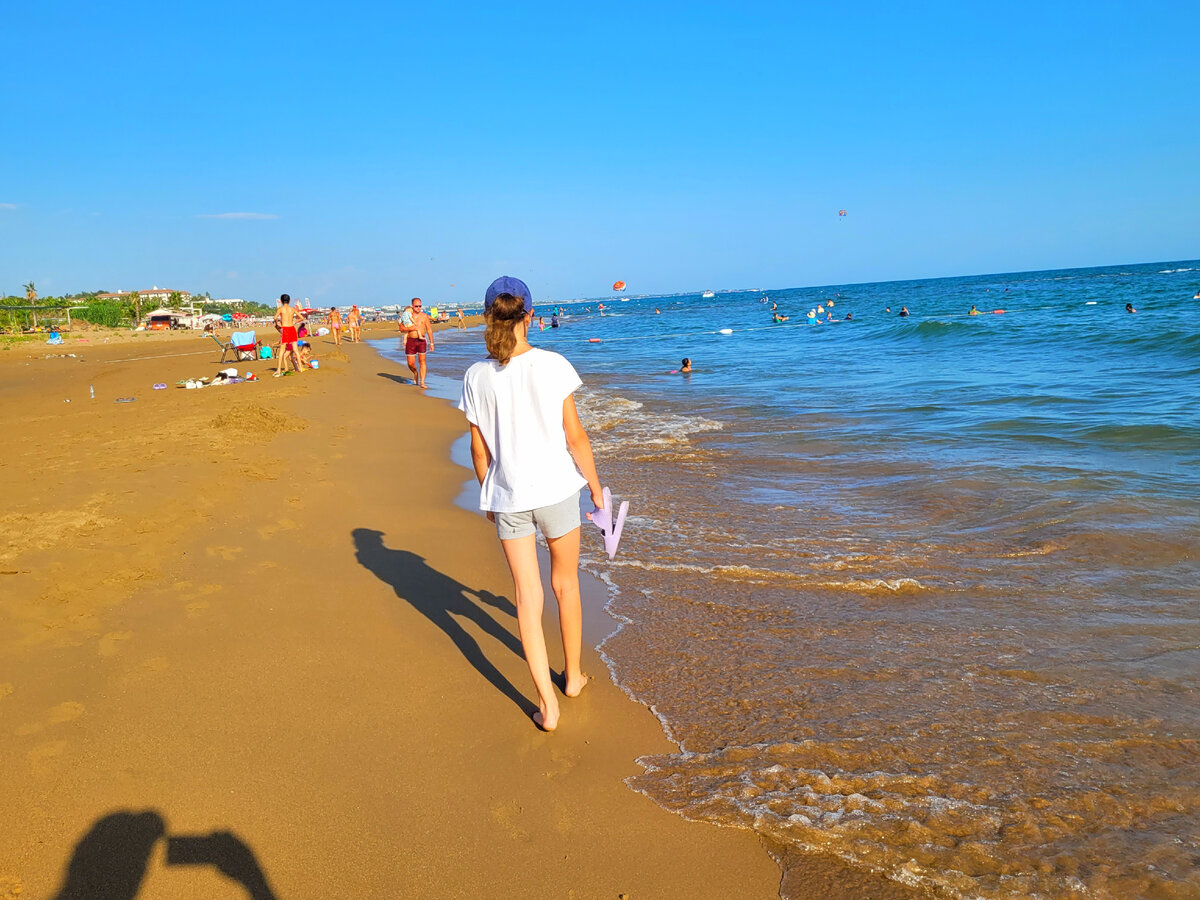 Можно сказать, нам ещё крупно повезло.