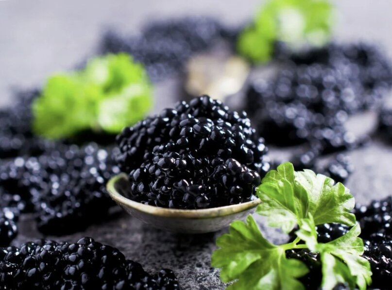 Черная икра