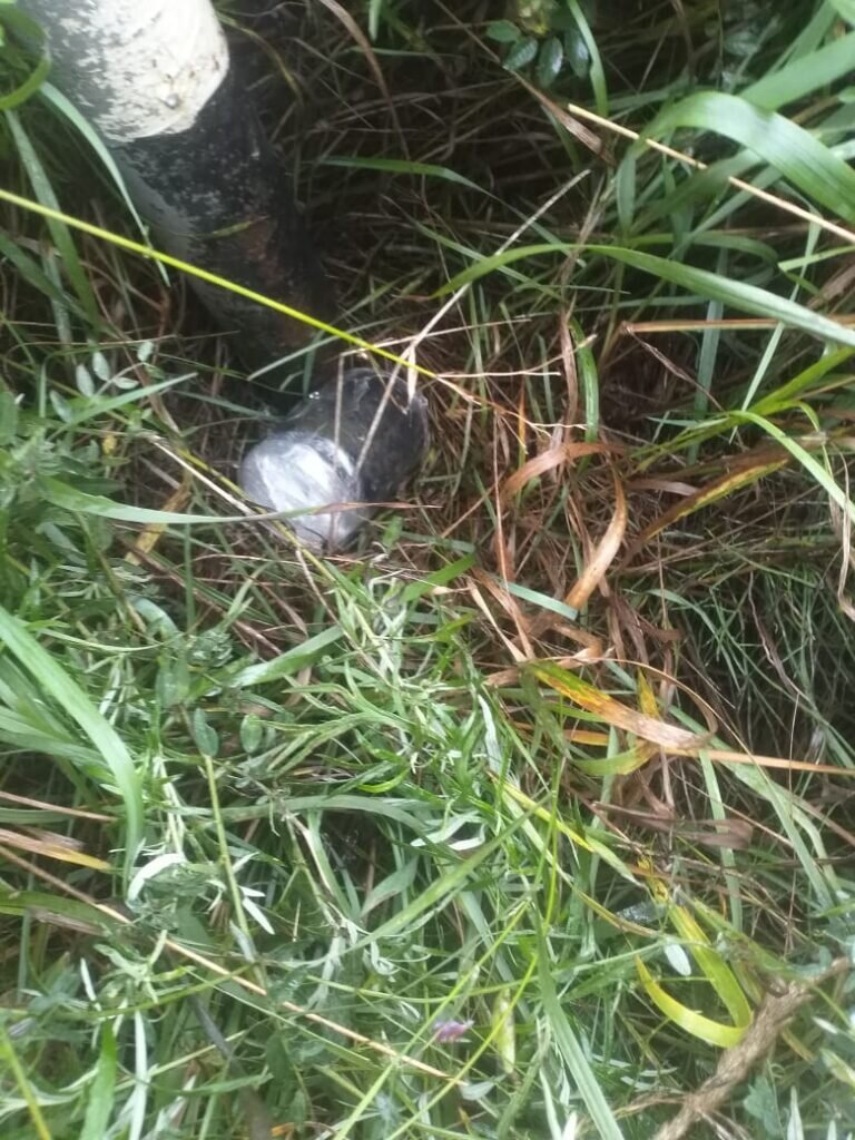    Фото: ПУ ФСБ по Амурской области