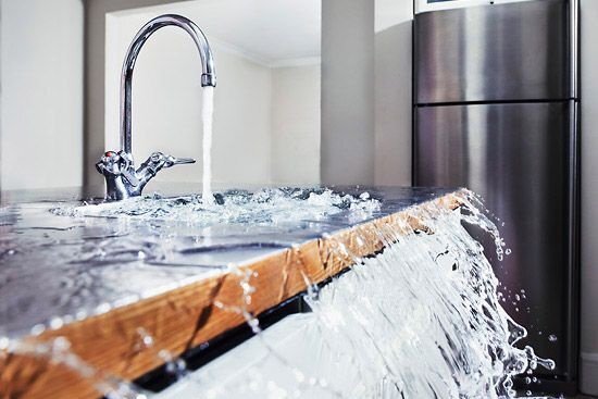 фото взято из поисковика