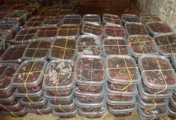 Фото в качестве иллюстрации