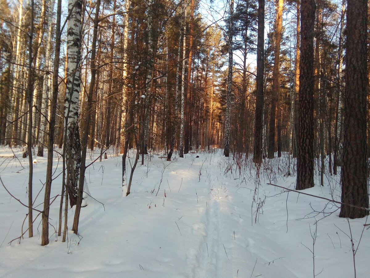 Каменные палатки малые сидельники. Каменные палатки кисегач челябинская. Парк каменные палатки екатеринбург. Изоплит екатеринбург озеро. Шарташ арамиль.