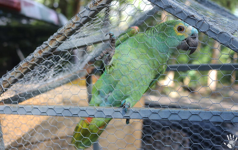 Короче, не раскололся! :)
