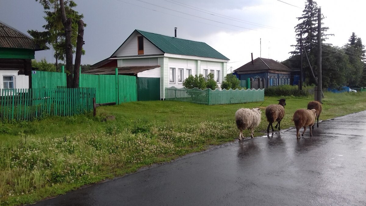 Как я купил себе домик в деревне и что из этого вышло | Домик у Дороги |  Дзен