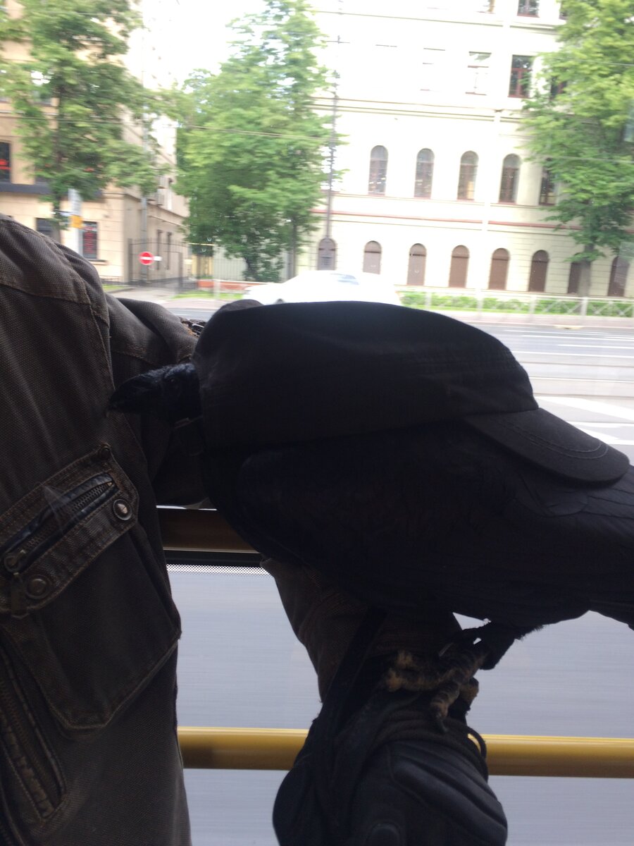 Но нос высунуть всё-равно надо, интересно же!