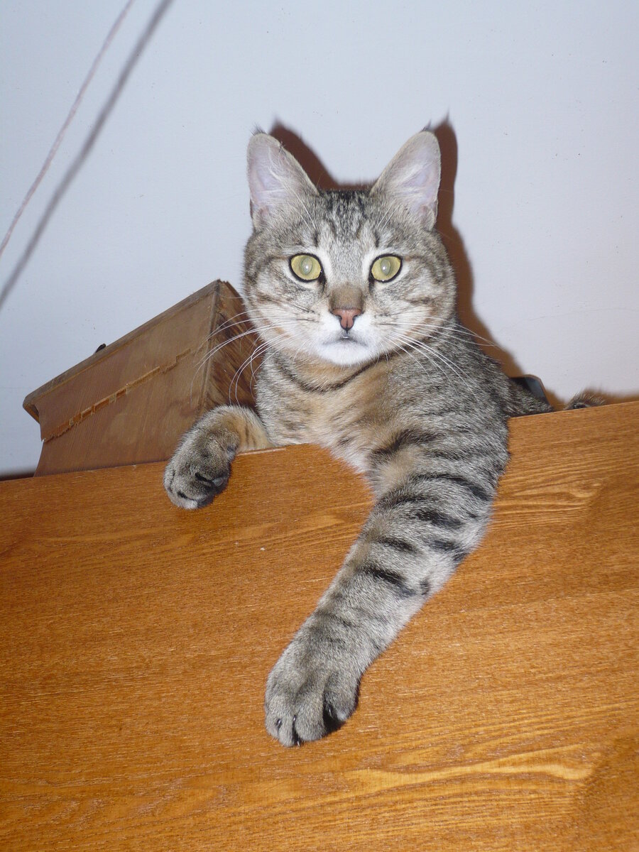 фото из личного архива автора