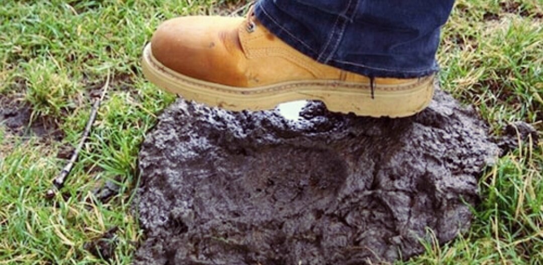 Неприятность)