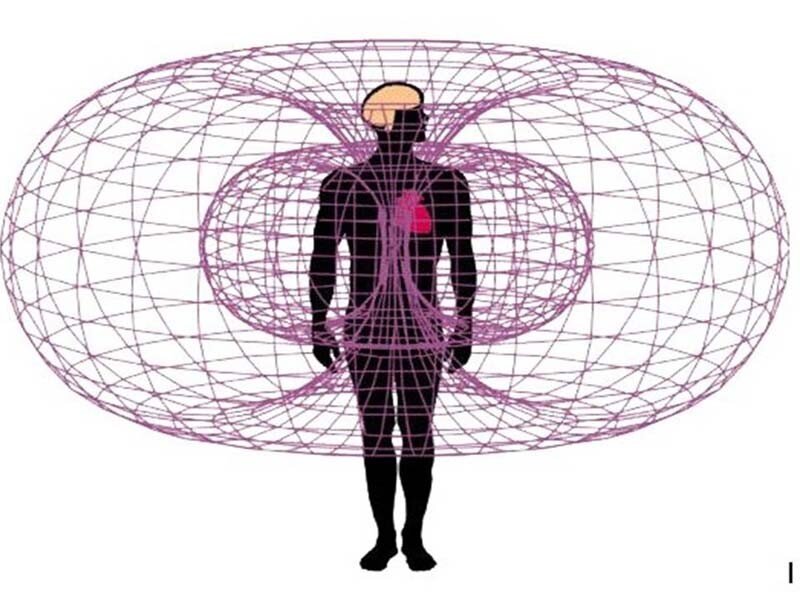 Движение энергии в теле человека. Из Яндекс.Картинки