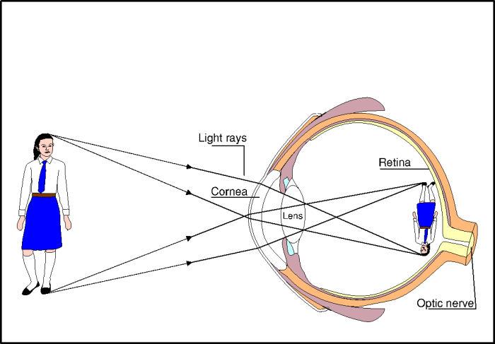 
Примерно вот так.
