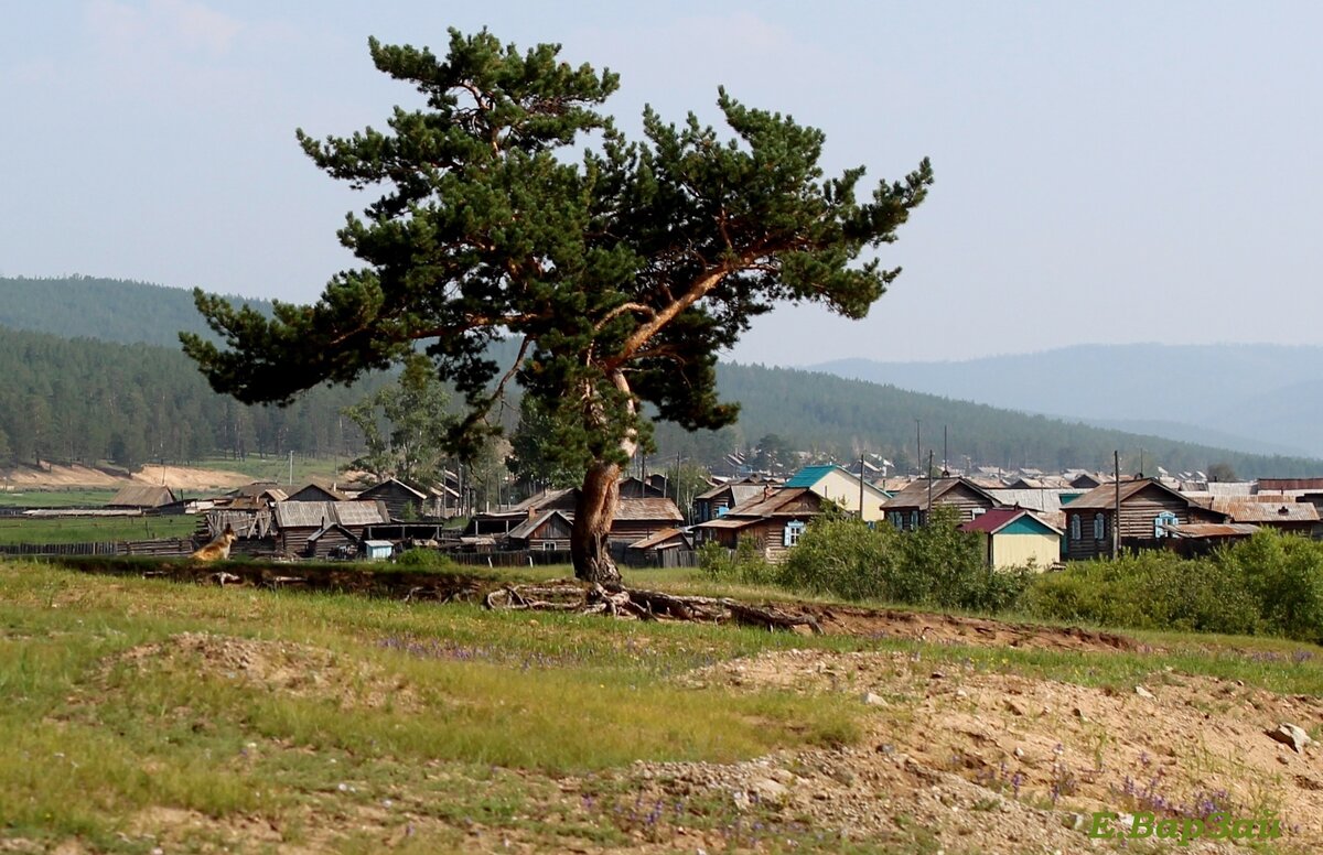 погода бурятия хоринский санномыск. погода бурятия хоринский санномыск. погода бурятия хоринский санномыск. погода бурятия хоринский санномыск. село хасурта хоринского района.