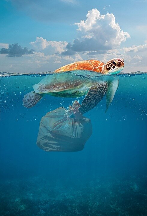 https://cdn.pixabay.com/photo/2019/08/05/14/02/environmental-4386105_960_720.jpg