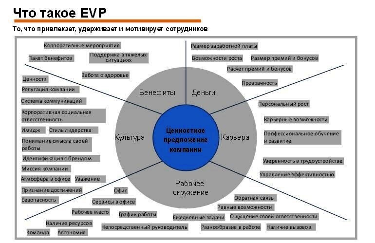 Что такое EVP и почему это важно при поиске работы?