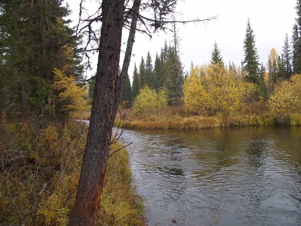 Река Мука. Фото: images.esosedi.org