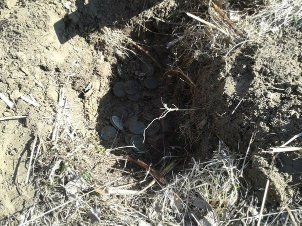 фото из интернета