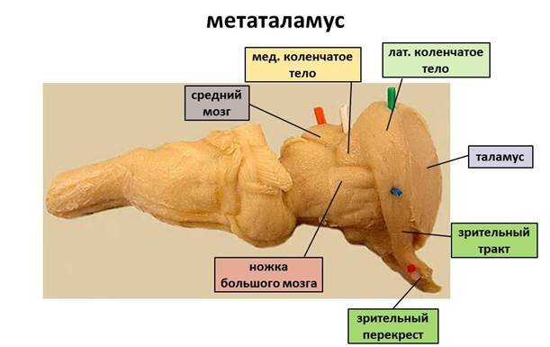 https://ok-t.ru/helpiksorg/baza2/400593247540.files/image008.jpg