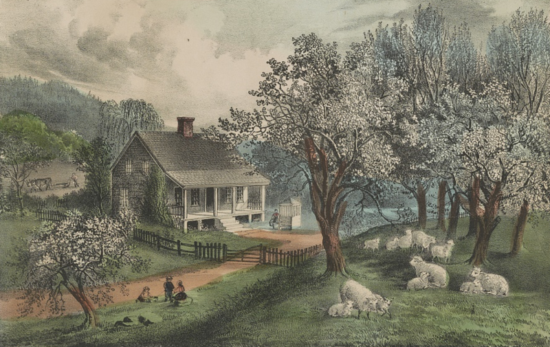 
Американские усадьбы, подобные этой, находились в нескольких километрах от ближайших соседей