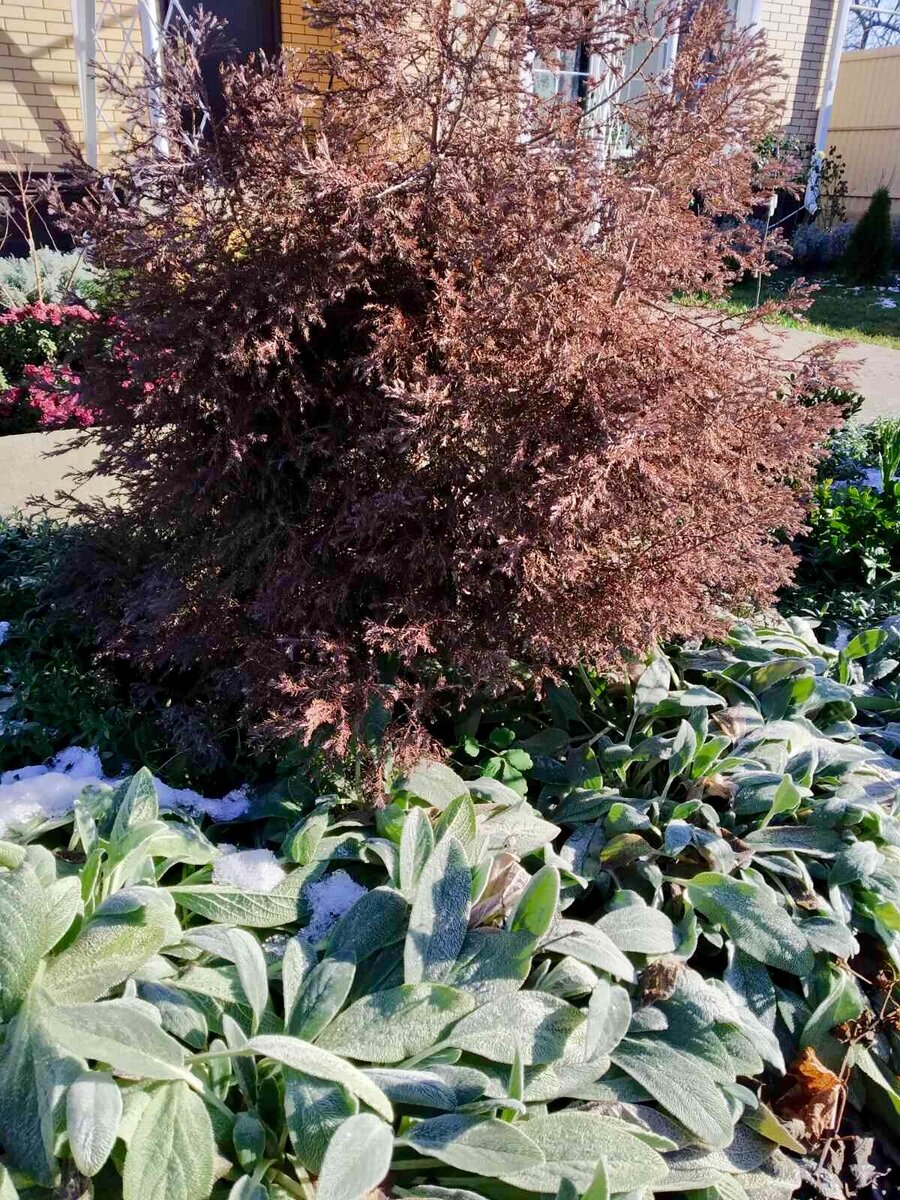 Исследуемый объект))