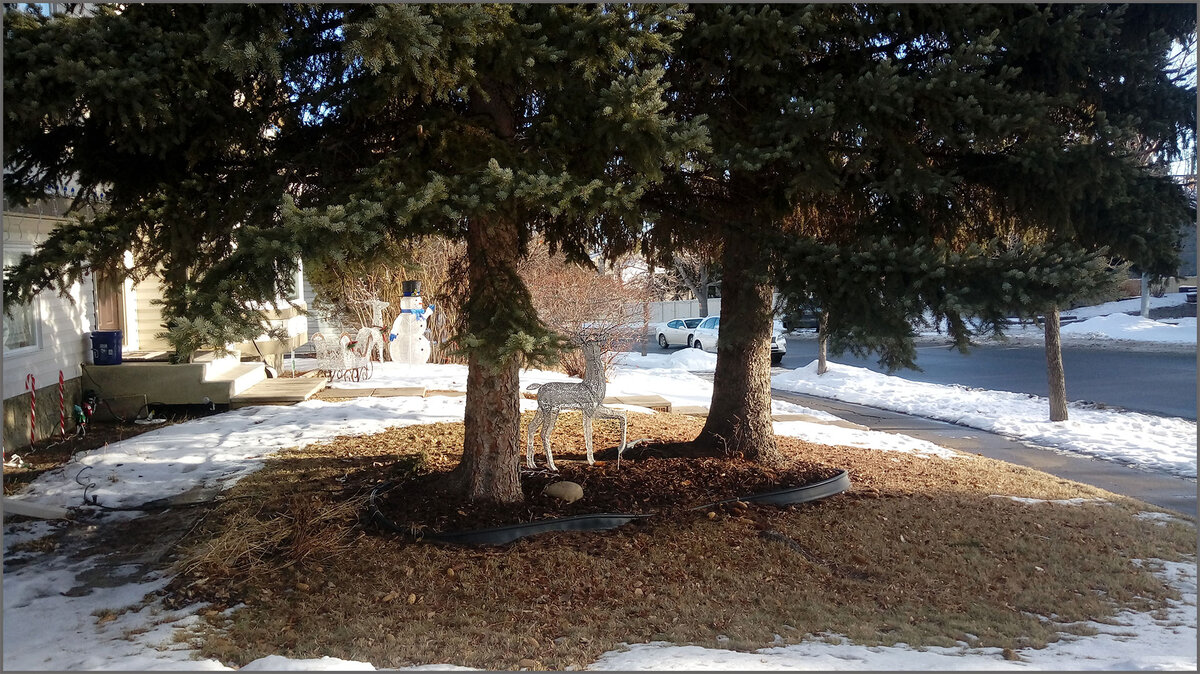 Канадские зарисовки