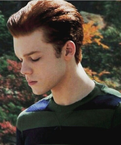 Бесстыжие Йен Галлагер БИПОЛЯРНОЕ РАССТРОЙСТВО 