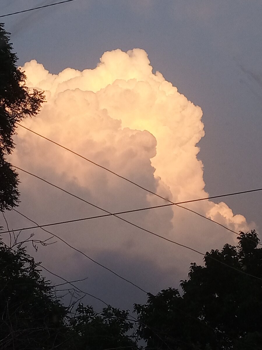 От края до края небо в проводах