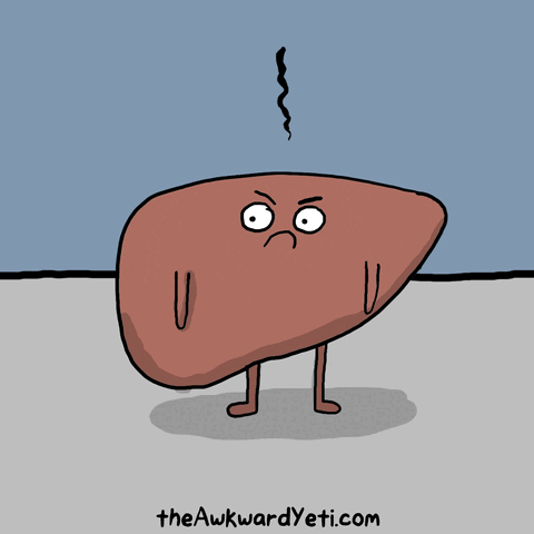 Кстати, есть исследования подтверждающие, что регулярное потребление кофе полезно для печени, при развившейся (жировой гепатоз, гепатит и даже цирроз) патологии. Если печень здорова – кофе тоже можно, но особо он ни на что не повлияет.