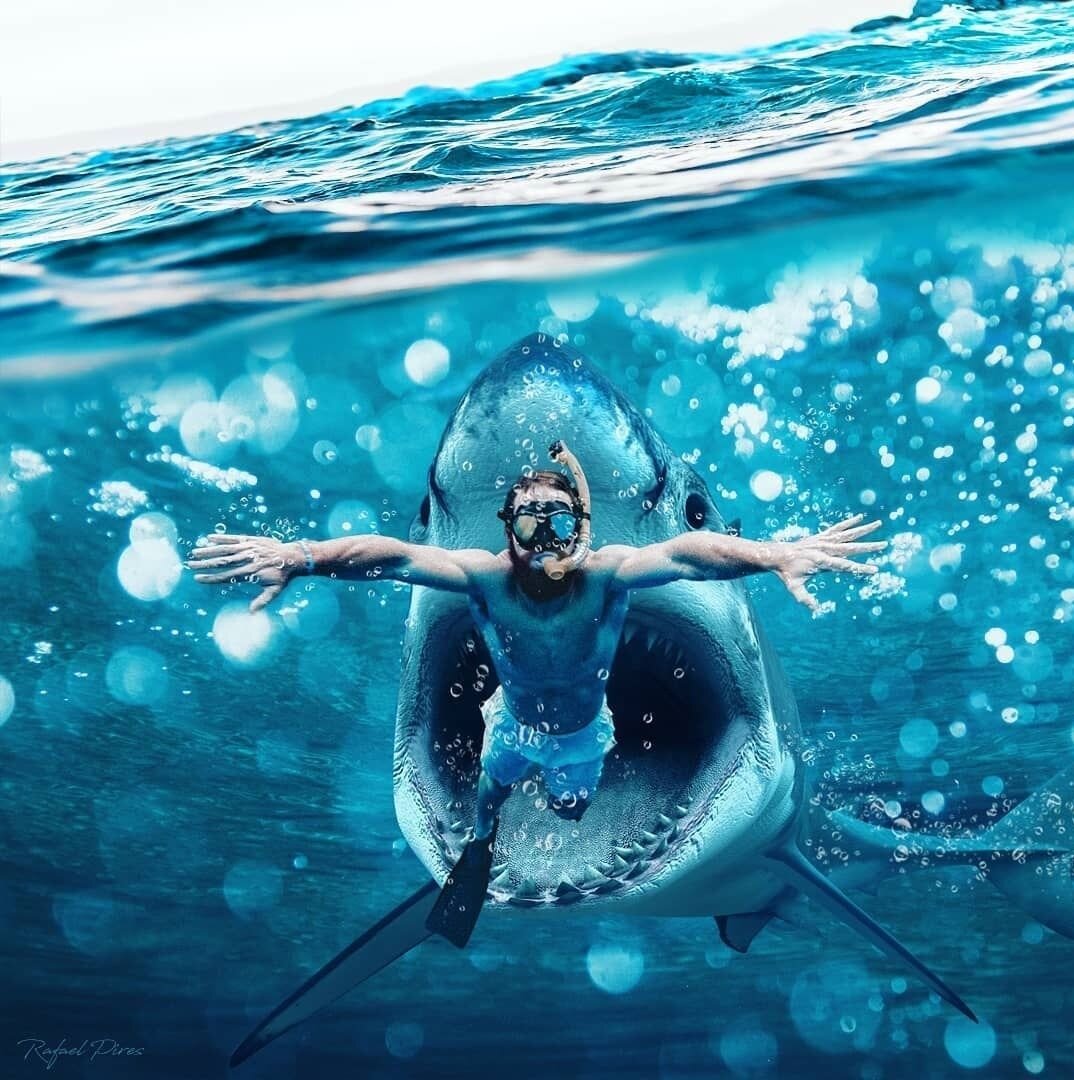 Уплывая от грядущей суеты 