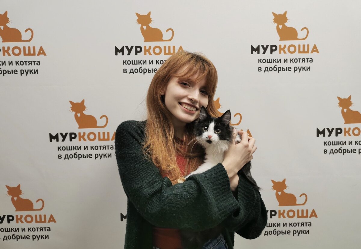 💃🏼🕺🏻💃🏼 В ритме танца котята маршируют из приюта домой! 🏡🐈🐈🐈 |  Центр помощи кошкам «Муркоша» | Дзен