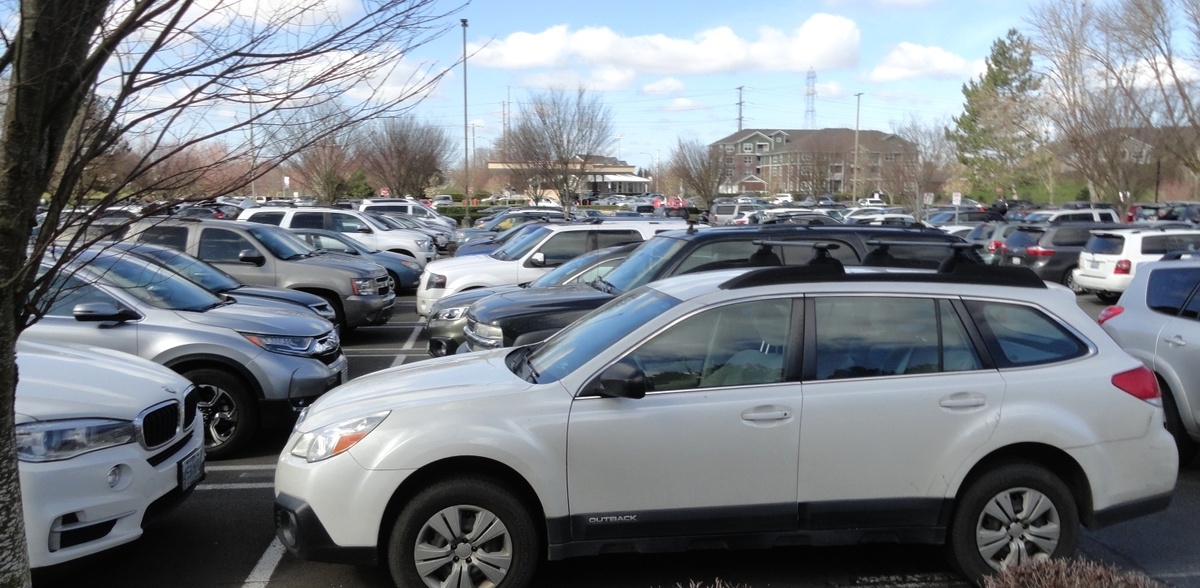 Машин было видимо-невидимо. Мы с трудом нашли место на парковке.