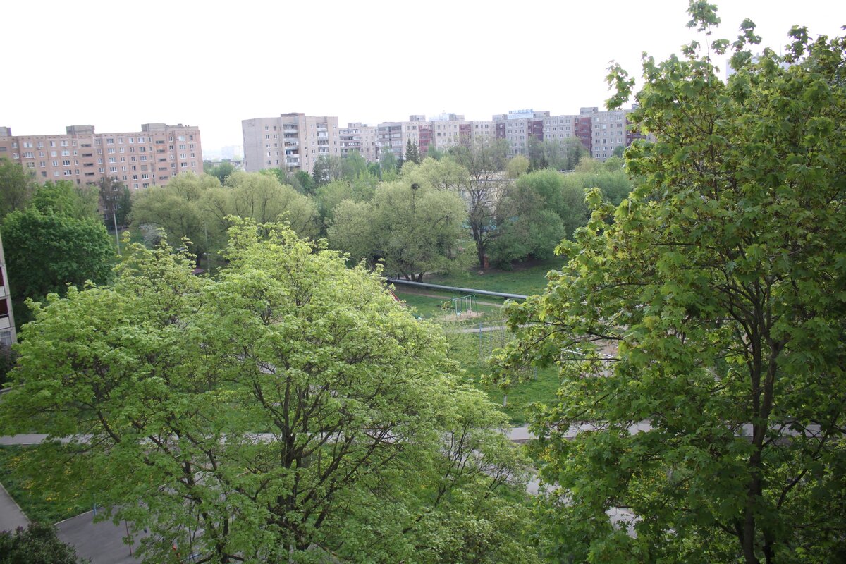 И никаких соседей в окнах.