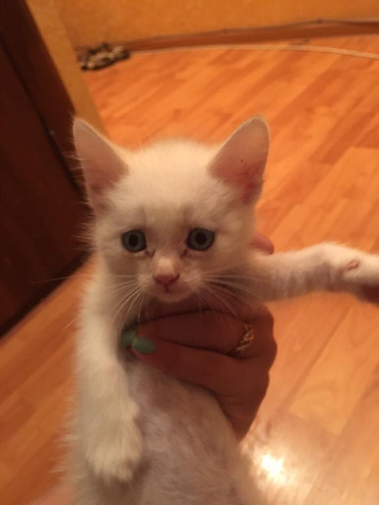 Степе здесь несколько месяцев