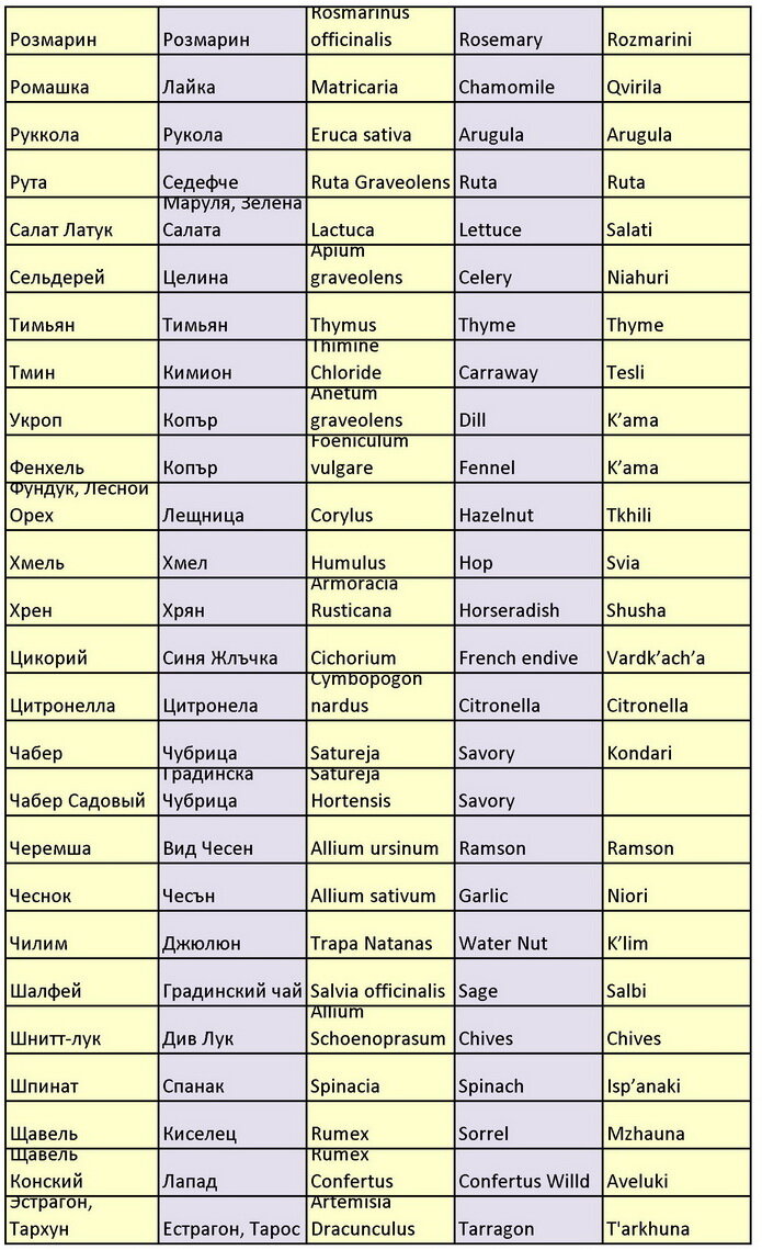 Полезная шпаргалка по травам и специям на русском грузинском, латыни,  английском и болгарском языках. | EM 1 | Дзен
