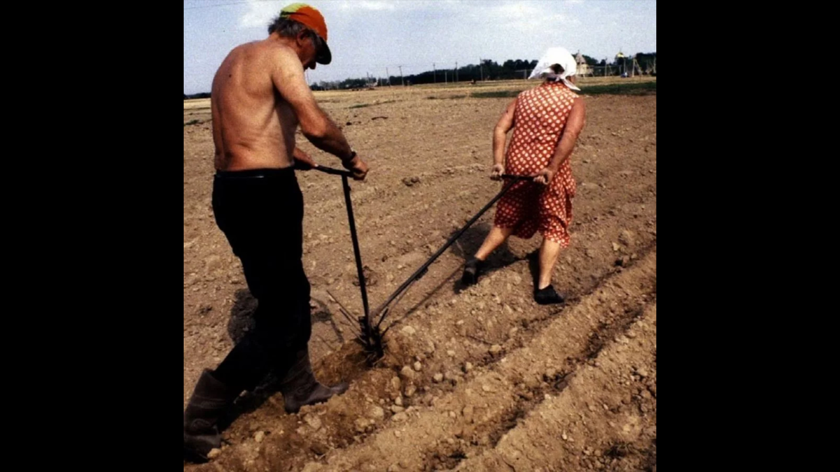 фото свободный доступ.