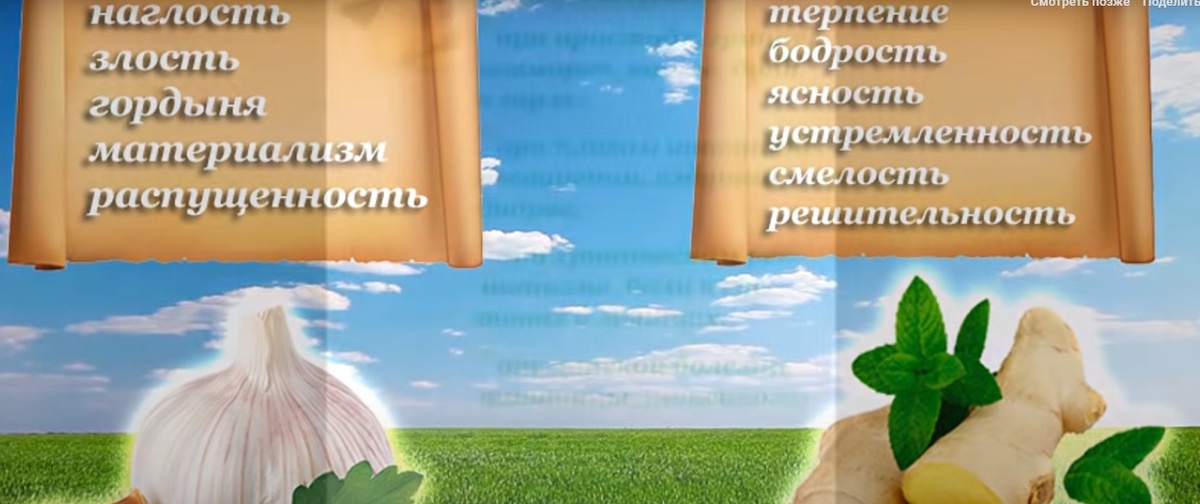 Как влияет на нас чеснок и имбирь