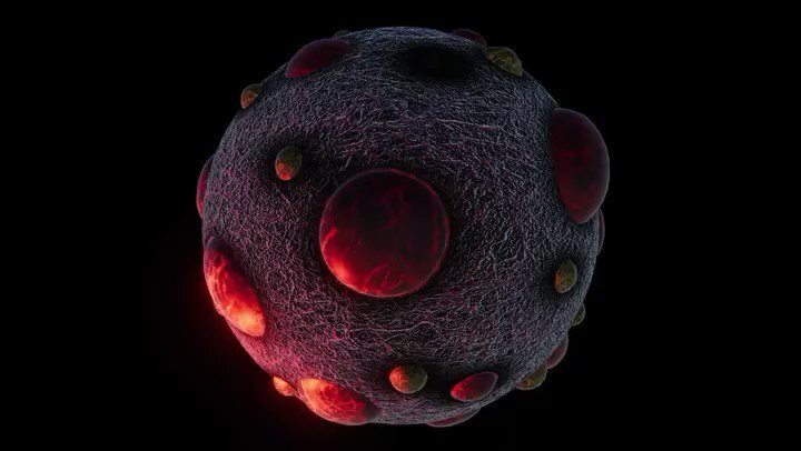 Хантавирус в своем обличии