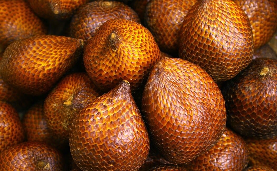 Продолговатые или круглые плоды небольшого размера (около 5 см. в длину) красного (Ракум) или коричневого (Салак) цвета, покрытые плотными мелкими колючками. 
Фрукт с очень необычным, ярким сладко-кислым вкусом. Кому-то напоминает хурму, кому-то грушу. Стоит попробовать хотя бы один раз, а там уж, как понравится...

Следует быть осторожным при чистке фрукта: колючки очень плотные и впиваются в кожу. Лучше использовать нож.

Сезон – с апреля по июнь.