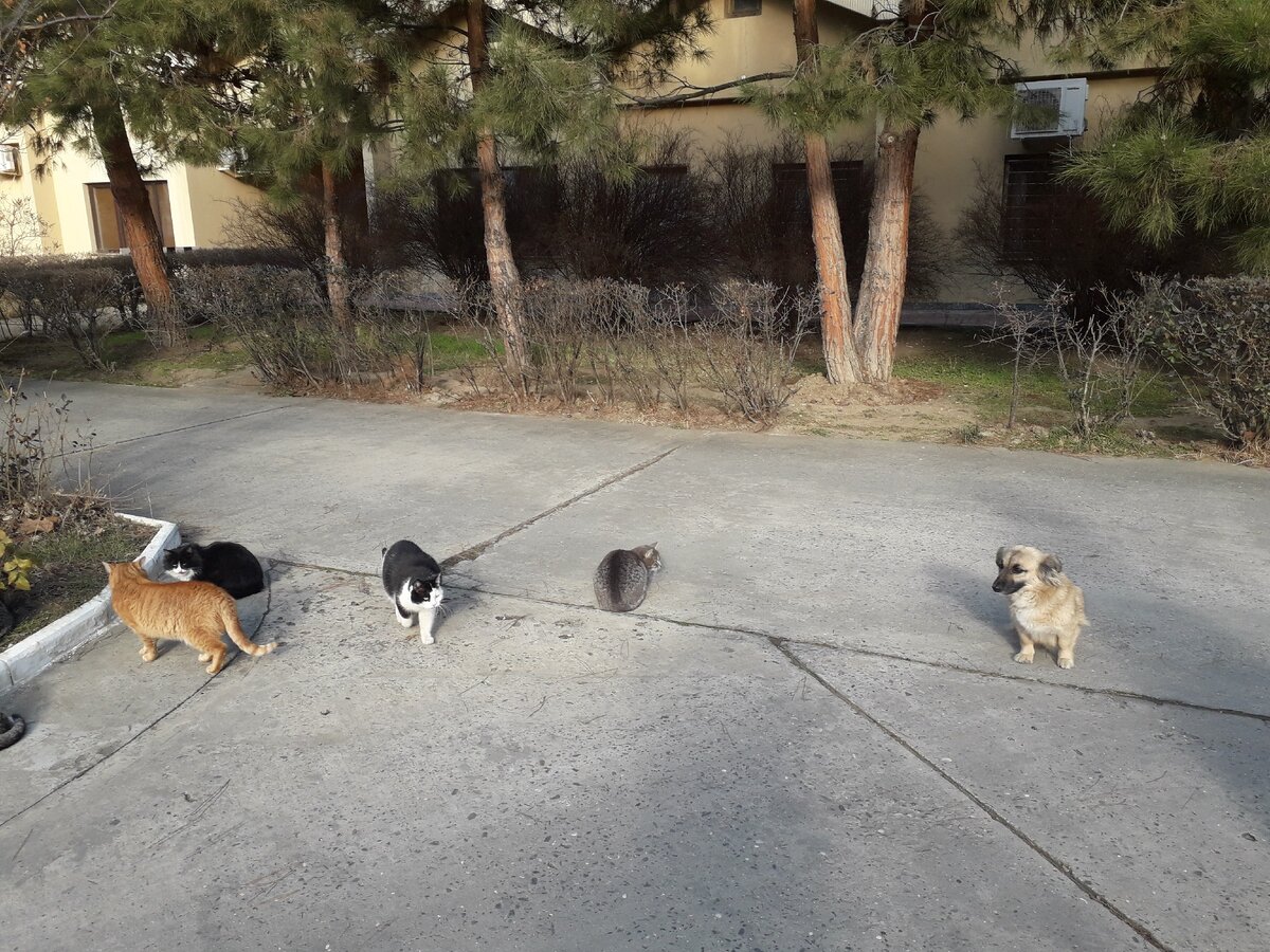 Фото автора истории. 