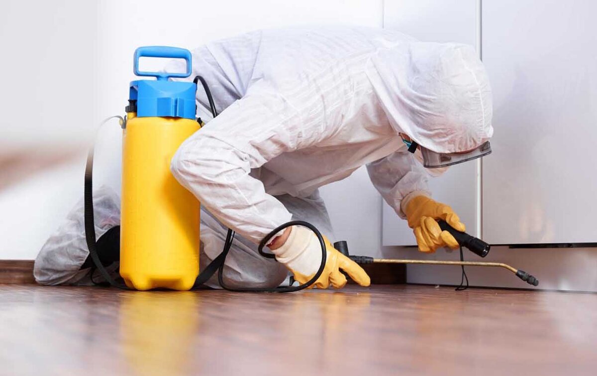 обработка помещений