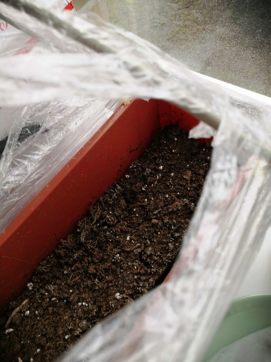 Результат посева