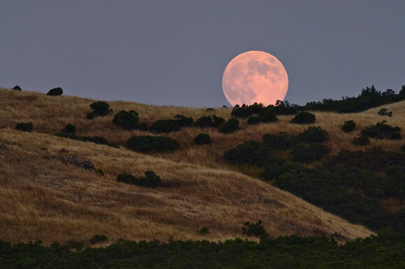 Фото: https://forany.xyz/ax/d1/1/a36/Moon-Rise-over-Santa-Cruz.jpg
