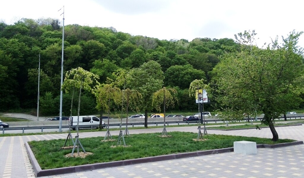 Все фото - авторские