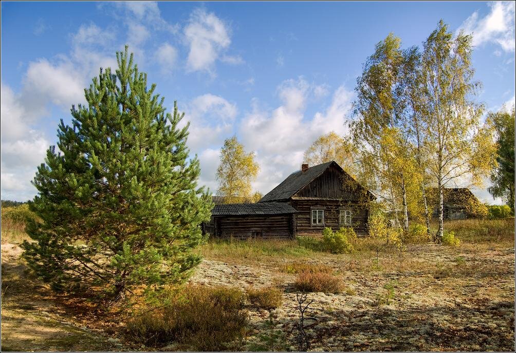 Край деревни. Деревня на опушке леса. Домик на опушке. Деревушка на опушке. Старый дом на опушке леса.