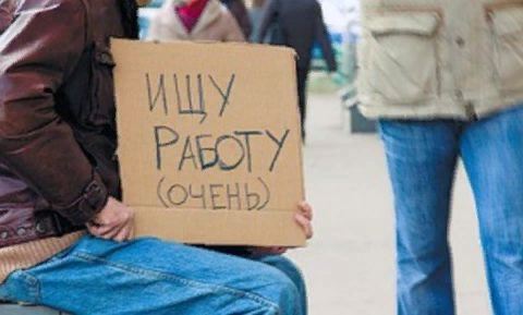  Количество безработных на Вологодчине с начала года увеличилось в 2 раза.
