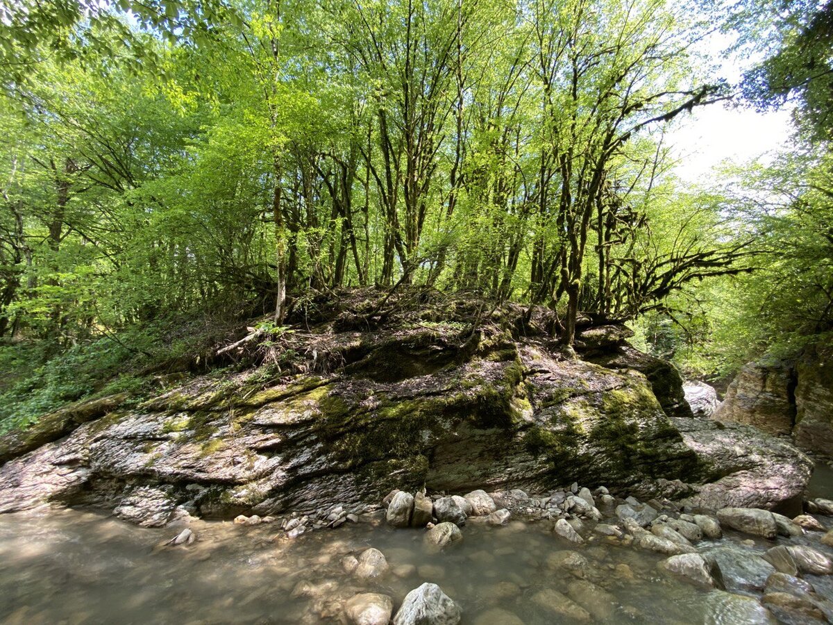 Кудепстинский каньон