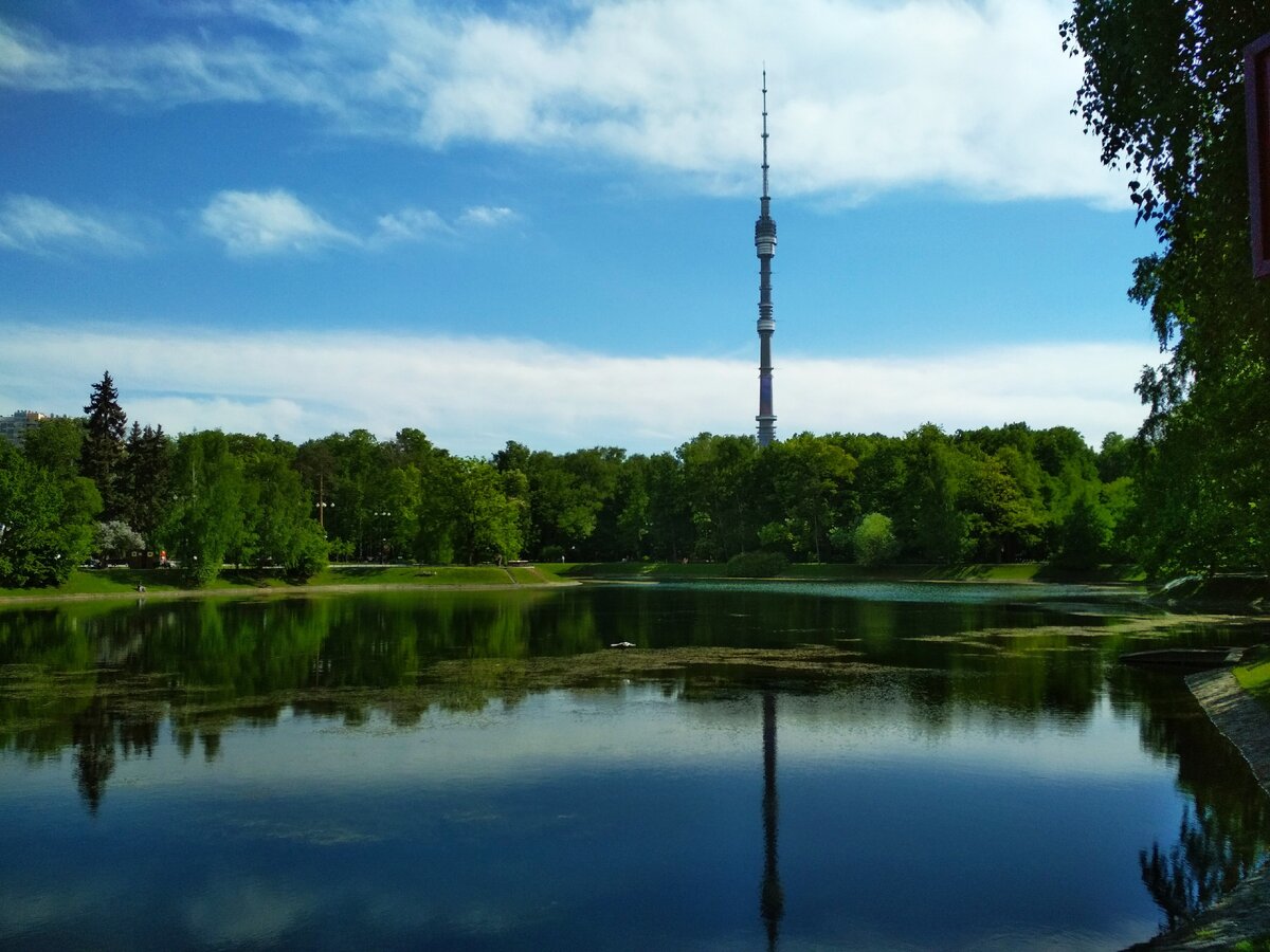 Пруд на границе ботанического сада и ВДНХ.